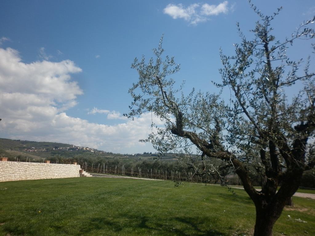 La Piccola Mimosa Apartment Sant'Ambrogio di Valpolicella Bagian luar foto
