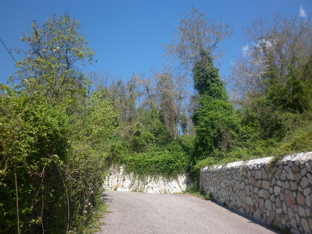 La Piccola Mimosa Apartment Sant'Ambrogio di Valpolicella Bagian luar foto